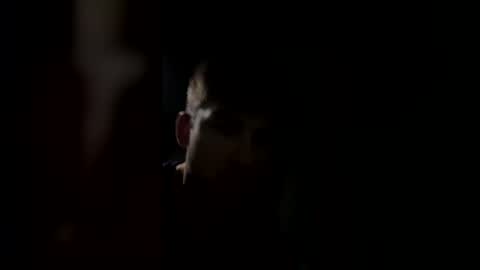 jul061007 online show from 03-15-26, 11:33