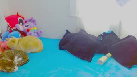  Juliana Torres  online show from 01-07-26, 06:32