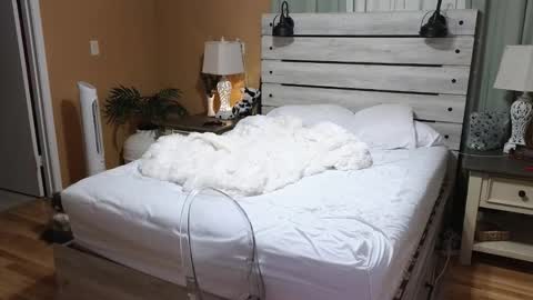 Snapshot of julianaxxxrose chatting on 12-23-25, 03:04 Texas Mamasita online show from 12-23-25, 03:04