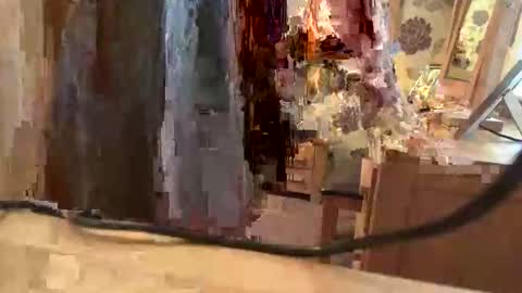 Snapshot of juliecd1955 chatting on 11-06-25, 01:56 brian online show from 11-06-25, 01:56