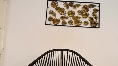 Juli online show from 10-10-25, 08:08