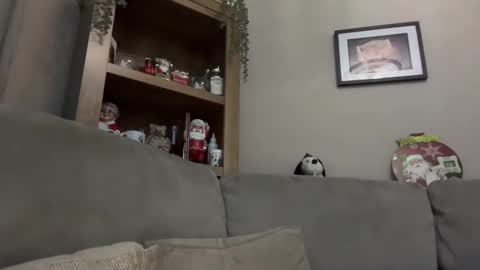 Snapshot of junky345 chatting on 12-13-24, 07:21 Junky online show from 12-13-24, 07:21