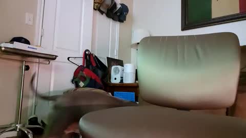 just4fun1523 online show from 01-09-26, 02:14