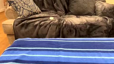 Snapshot of just_ur_avg_cpl chatting on 02-17-25, 12:32 justuravgdad  justuravgmom online show from 02-17-25, 12:32