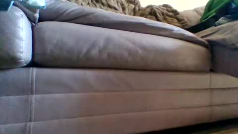 Snapshot of justgrosch4200 chatting on 02-27-26, 05:46 justgrosch4200 online show from 02-27-26, 05:46