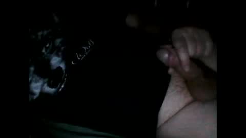 Snapshot of justpervfun chatting on 12-08-24, 06:39 justpervfun online show from 12-08-24, 06:39