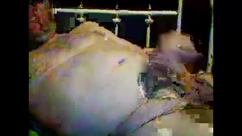 Snapshot of justpervfun chatting on 01-15-25, 12:41 justpervfun online show from 01-15-25, 12:41