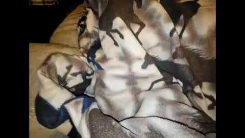 Snapshot of justswack chatting on 12-07-24, 08:44 justswack online show from 12-07-24, 08:44