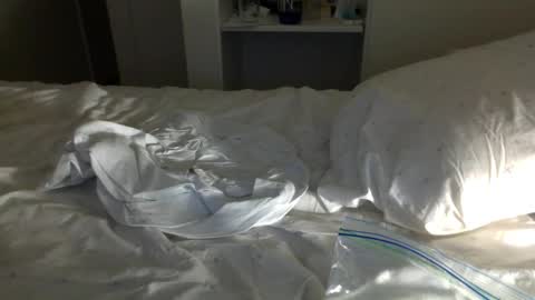 J and Sugar snap pea online show from 01-23-25, 11:37