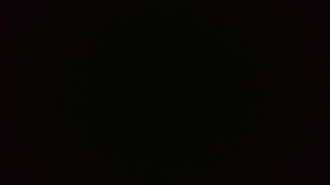 Wolf online show from 02-26-25, 03:52