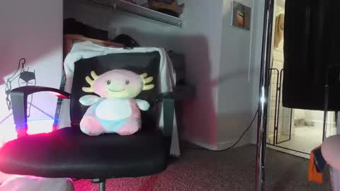 Snapshot of jwowzer69 chatting on 02-01-25, 10:05 Rock Peaches Last tipper gets surprise online show from 02-01-25, 10:05