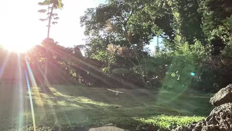 Kailee Smile online show from 09-10-25, 03:28