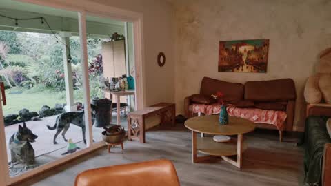 Snapshot of kaileeshy chatting on 01-08-26, 03:42 Kailee Smile online show from 01-08-26, 03:42