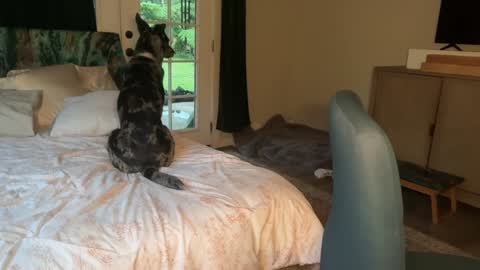 Snapshot of kaileeshy chatting on 02-07-26, 04:16 Kailee Smile online show from 02-07-26, 04:16