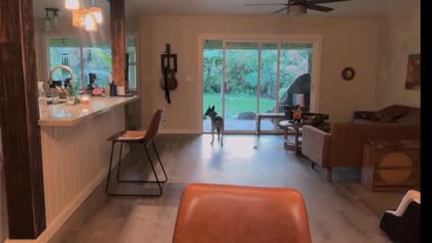 Snapshot of kaileeshy chatting on 03-21-26, 04:28 Kailee Smile online show from 03-21-26, 04:28