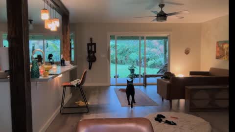 Snapshot of kaileeshy chatting on 03-28-26, 04:12 Kailee Smile online show from 03-28-26, 04:12