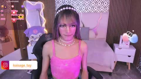 Snapshot of kaisage_tay chatting on 10-23-25, 04:12 kaisage_tay online show from 10-23-25, 04:12