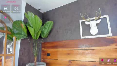   online show from 02-20-26, 03:03