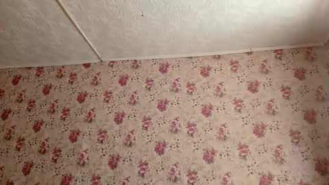 Sara online show from 02-27-26, 07:19