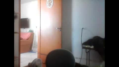 Snapshot of kasadocarente chatting on 01-17-26, 04:22 kasadocarente online show from 01-17-26, 04:22