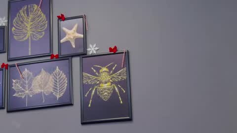 Snapshot of katewalker_ chatting on 12-17-24, 12:23 Kate online show from 12-17-24, 12:23