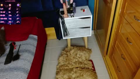 Snapshot of katty_berry_ chatting on 12-02-24, 07:38 Arianna online show from 12-02-24, 07:38