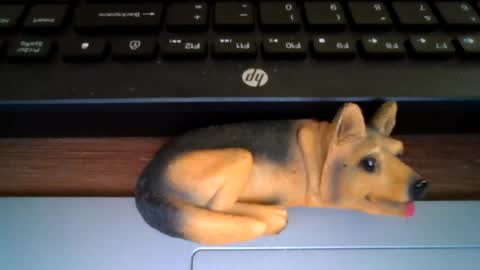 kawa98karbu online show from 07-14-26, 12:33