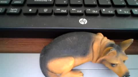 kawa98karbu online show from 07-21-26, 01:02