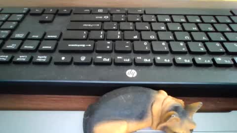 kawa98karbu online show from 07-22-26, 12:30