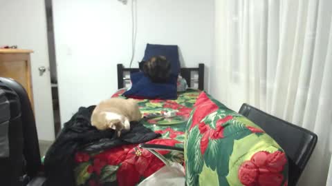 Snapshot of kawit1 chatting on 01-10-26, 12:01 Khawit online show from 01-10-26, 12:01