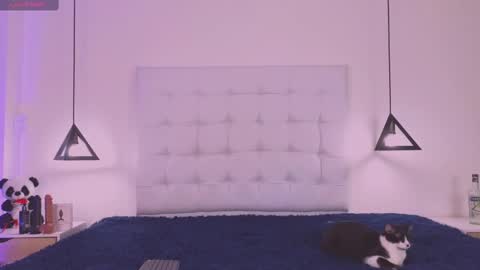 Cattleya stone online show from 02-18-25, 04:04