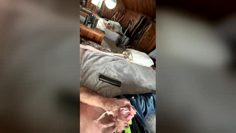 kckc40000 online show from 01-14-26, 07:19