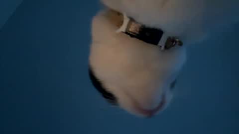 Snapshot of keepquietj chatting on 01-20-25, 12:25 keepquietj online show from 01-20-25, 12:25