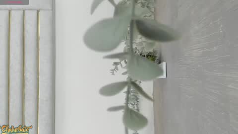 keirahartz online show from 04-28-26, 11:59