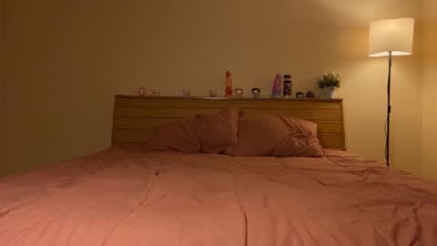 Snapshot of kellytwink chatting on 10-30-25, 04:41 Kelly online show from 10-30-25, 04:41