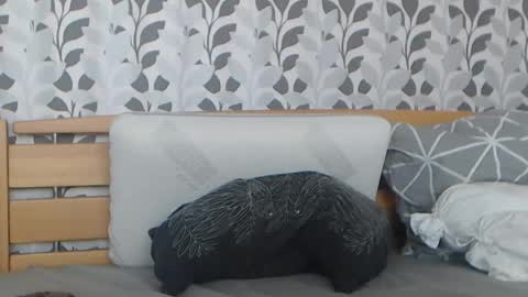 kelywild20 online show from 07-25-26, 07:06