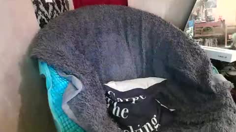 Snapshot of kennedynova777 chatting on 12-20-25, 09:22 Kennedy Nova online show from 12-20-25, 09:22