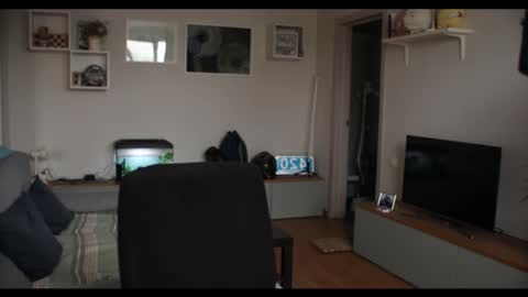 Kev online show from 02-17-25, 12:05