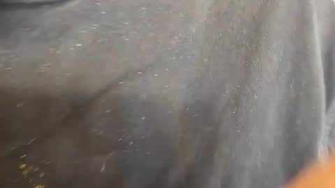 Snapshot of kevinevans448 chatting on 09-09-25, 08:30 kevinevans448 online show from 09-09-25, 08:30