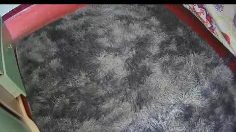 Keyla online show from 02-25-26, 06:17