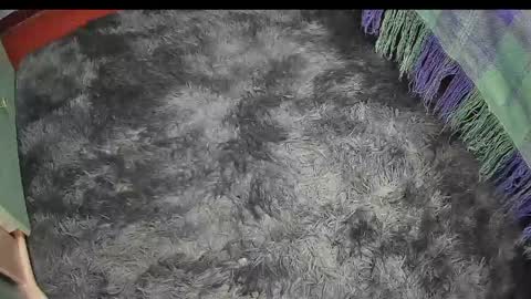 Keyla online show from 04-17-26, 09:29