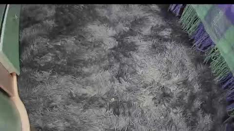 Keyla online show from 04-18-26, 04:22