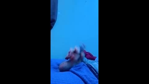 killakk_117 online show from 05-16-26, 10:12