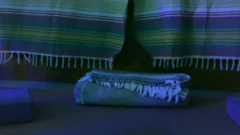 Kim online show from 10-13-25, 12:49