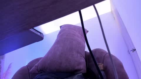 Kim Murphy online show from 04-29-26, 11:58