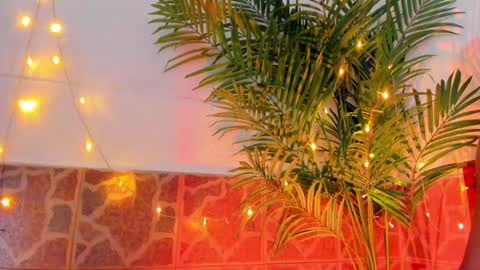 kimberly gonzalez online show from 01-17-25, 03:45