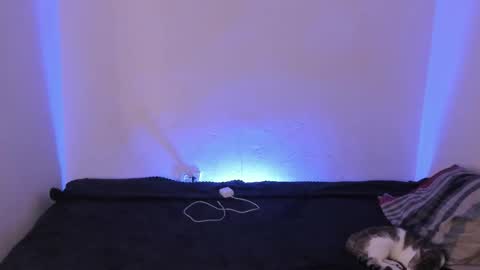 Kim online show from 12-16-25, 09:47