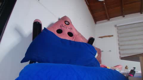 Snapshot of king_bella_ chatting on 01-21-25, 03:04 Bella online show from 01-21-25, 03:04