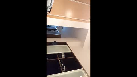 kingnavo online show from 11-07-25, 05:35