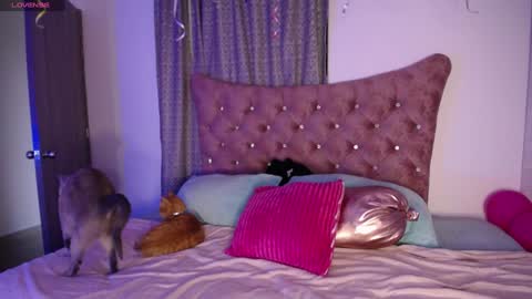  Sara  online show from 12-11-24, 10:16